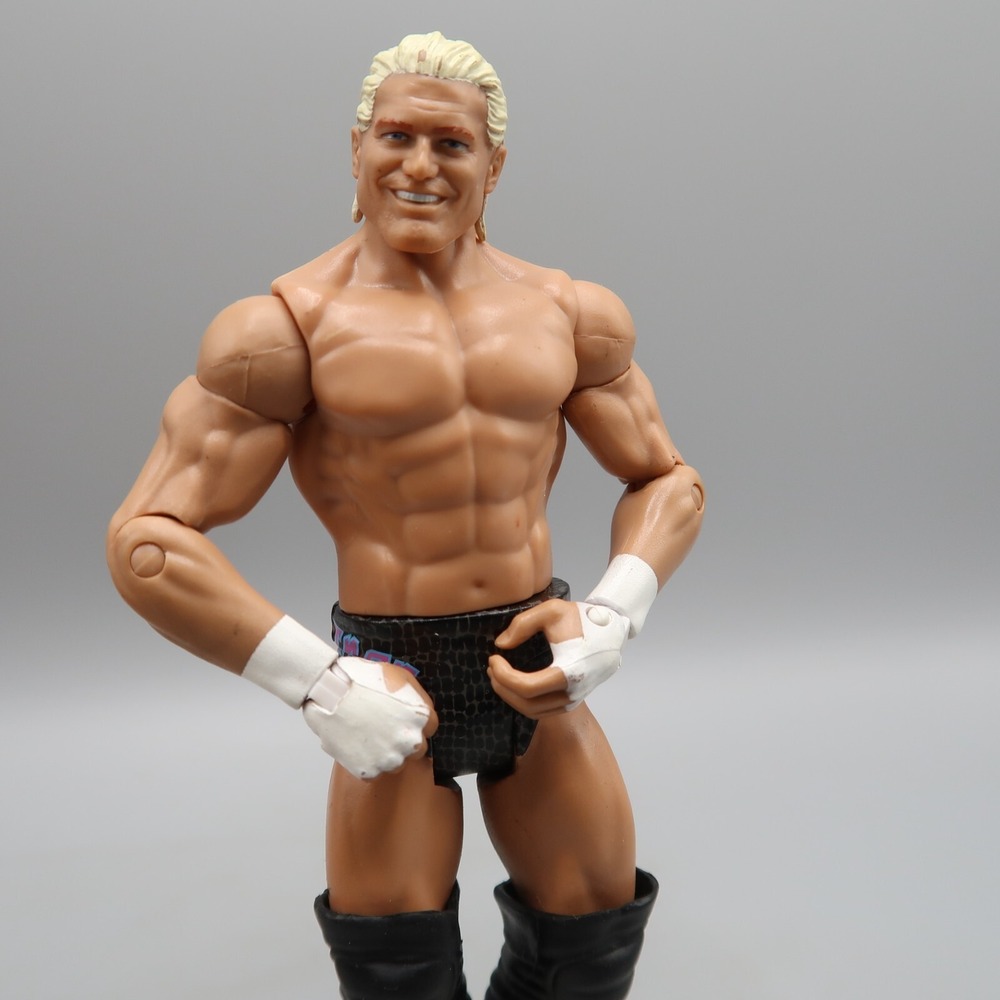 Dolph Ziggler WWE Basic Series Wrestling Action Figure Mattel 2011 Show Off